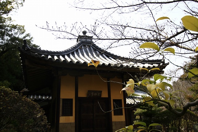 a0045932_11191913.jpg