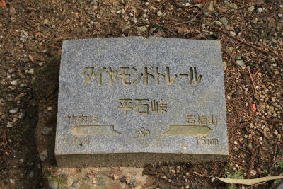d0055236_11484631.jpg