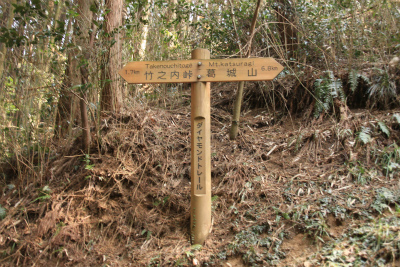 d0055236_11585282.jpg