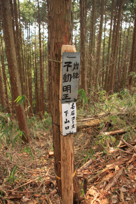 d0055236_12112832.jpg