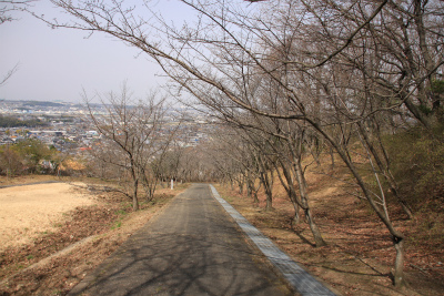 d0055236_12314222.jpg