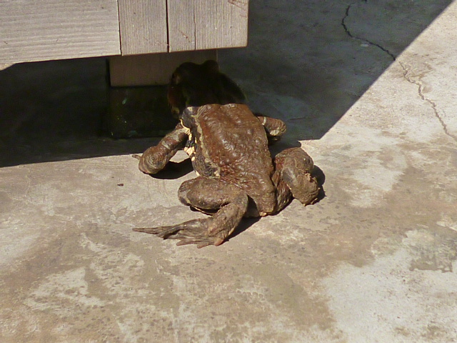 d0170140_20342922.jpg