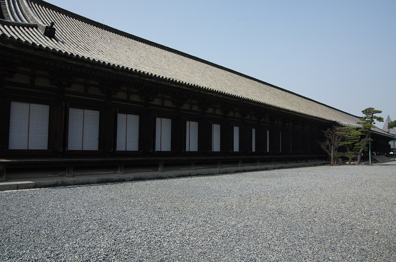 春爛漫・法住寺と三十三間堂の花々_f0155048_12271975.jpg