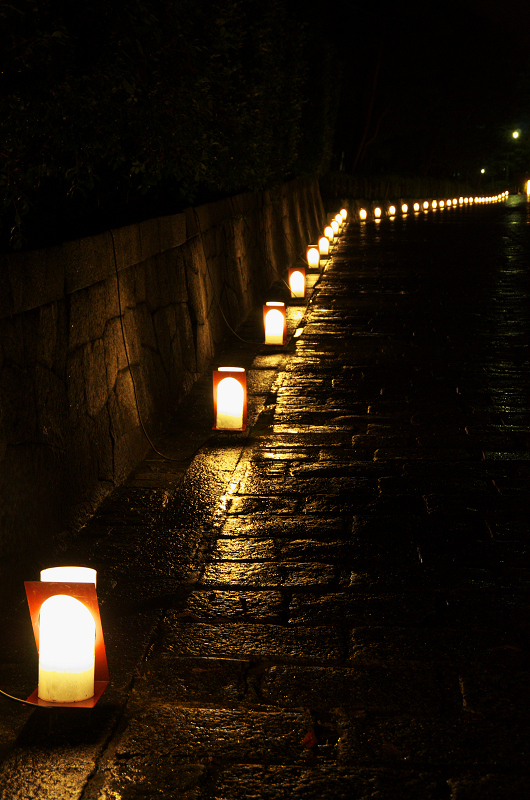 雨の花灯路（2013京都東山花灯路）_f0155048_1258535.jpg