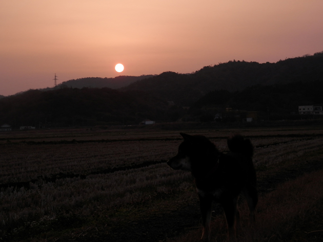 春の恵み＊胃袋へ＾＾_f0214649_66414.jpg