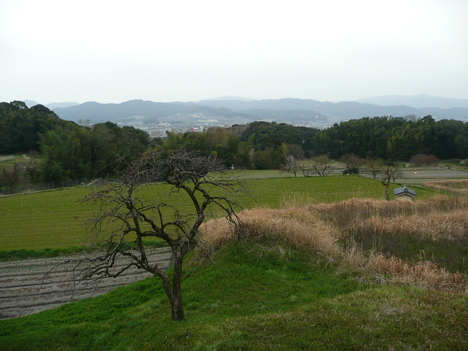 c0125356_19313890.jpg