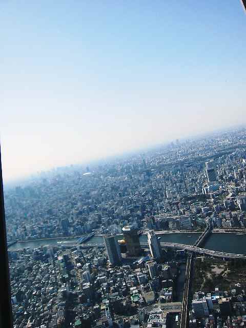 【東京スカイツリーの天望デッキから】_c0042960_121268.jpg