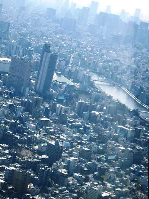 【東京スカイツリーの天望デッキから】_c0042960_1213635.jpg