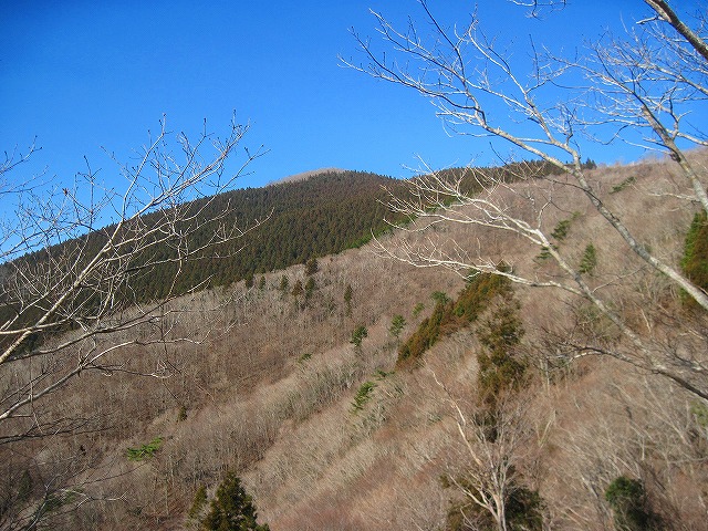 2013.3.17 西三子山_c0219866_15584596.jpg