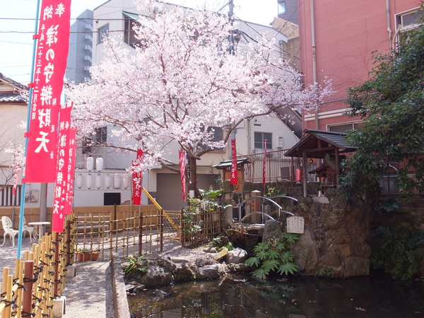 d0080566_9573576.jpg