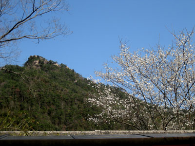 a0086067_0132638.jpg