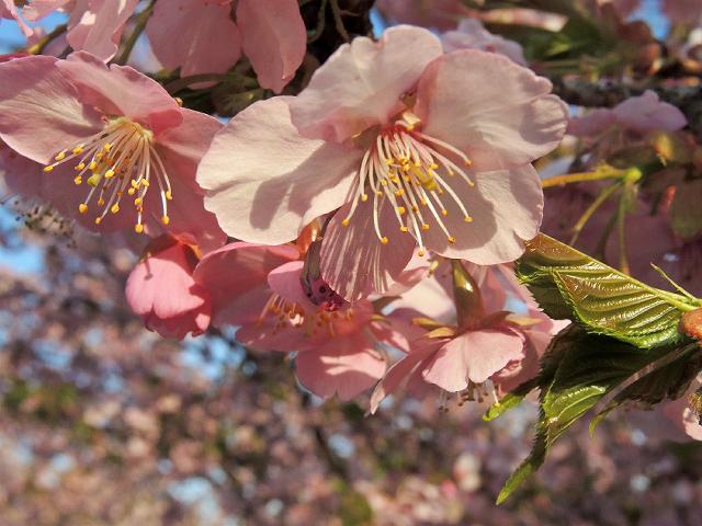 a0044076_16335579.jpg