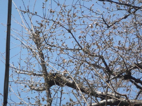 f0052277_143046.jpg