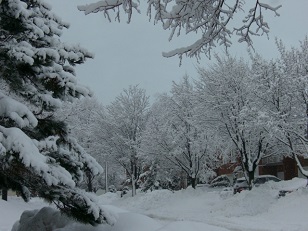 f0188990_233723.jpg