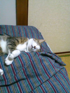 a0164292_00136.jpg