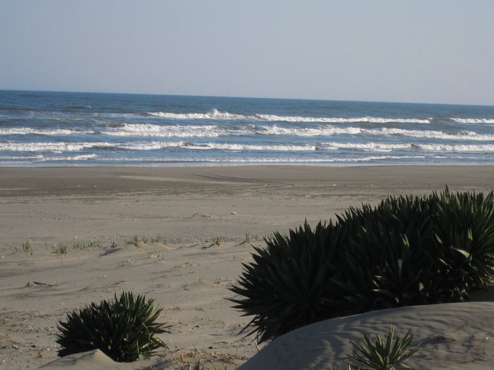 d0040395_0443233.jpg