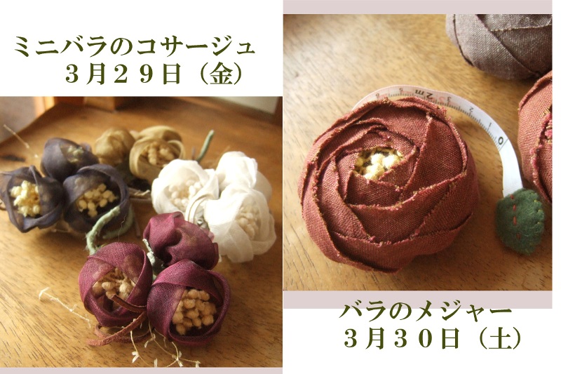 春の花が咲きはじめました_c0115596_2311267.jpg