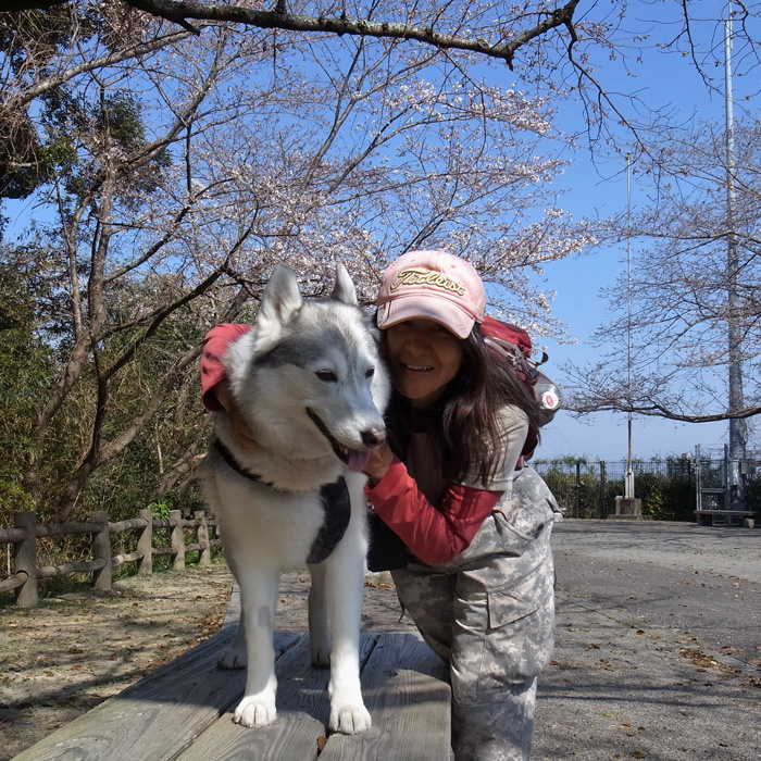 さくら咲く_c0049299_2034033.jpg