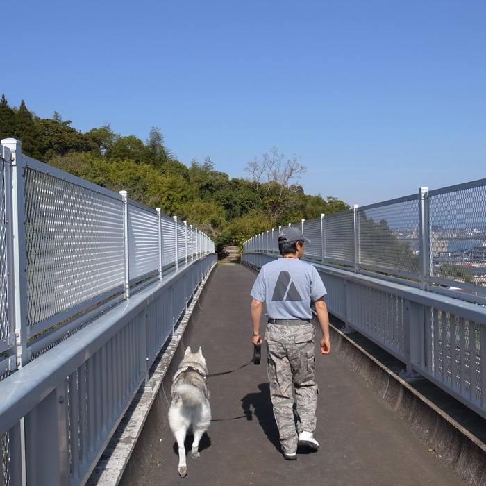 さくら咲く_c0049299_206498.jpg