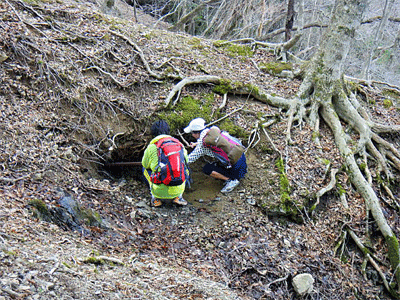 b0108100_22145592.gif