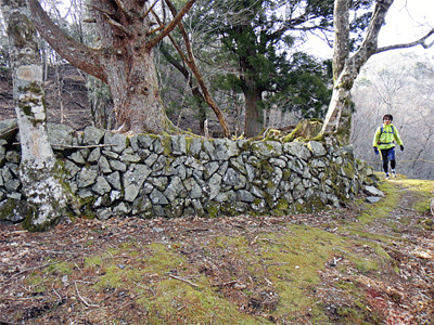 b0108100_2214566.gif