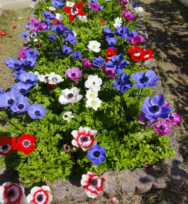 c0125501_22432114.jpg