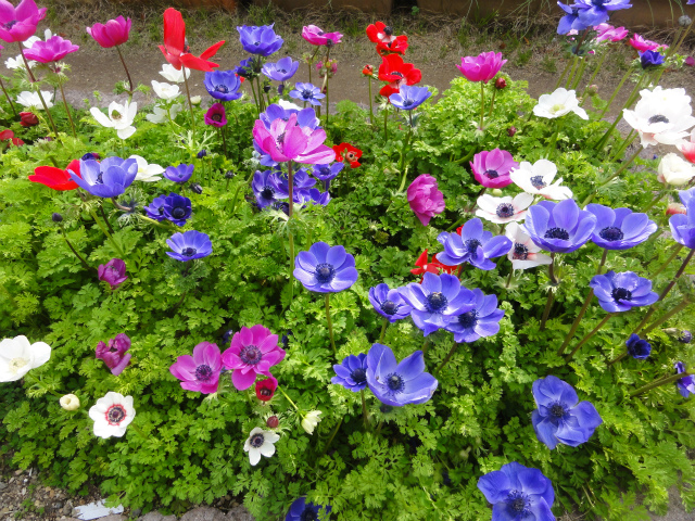 c0125501_22433177.jpg