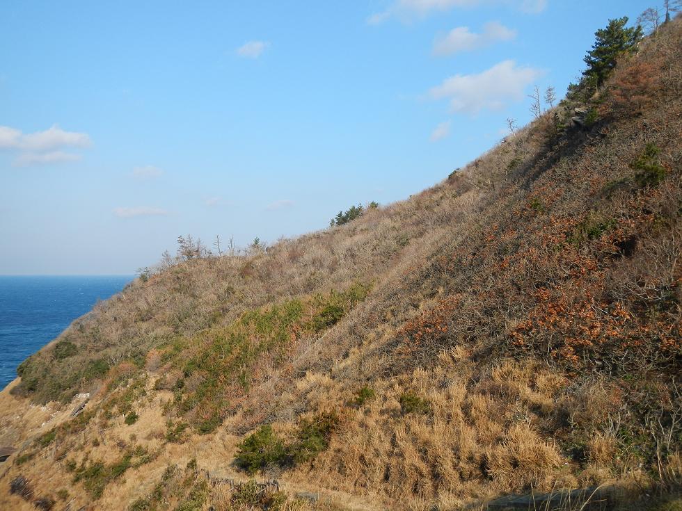 d0147002_0333497.jpg