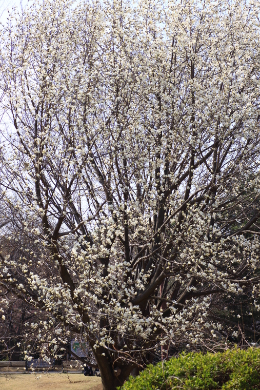 d0248502_831826.jpg