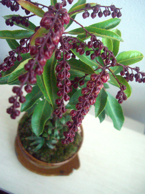 f0217905_185029100.jpg