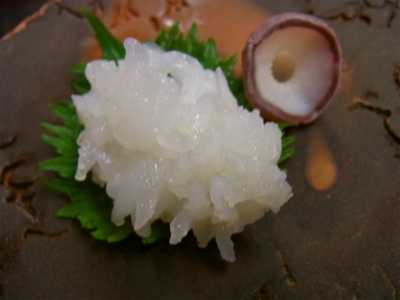 噴火湾の活けタコ!_f0157910_1311080.jpg