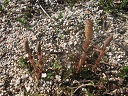 e0125014_16183764.jpg