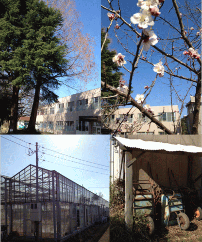 いばらき旅のCAFE 大温室PARTY --おいしい春とゆたり の 時間--終了いたしました。_a0251920_10571946.gif