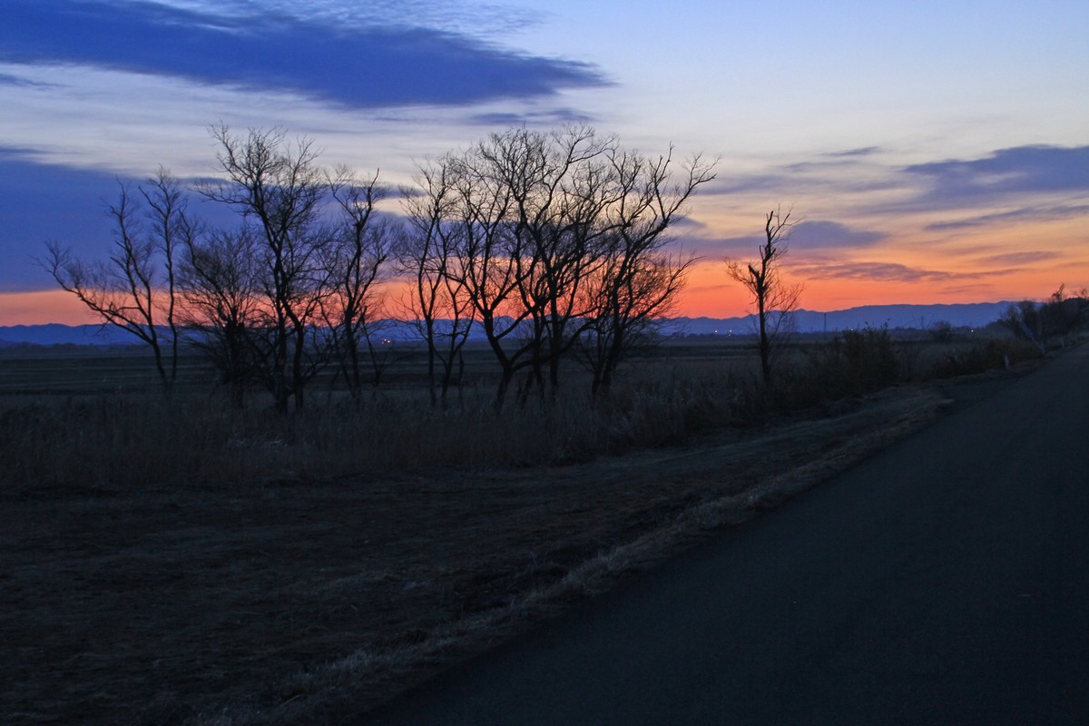 c0104227_9212834.jpg