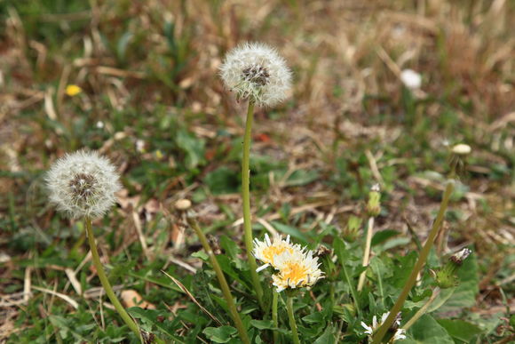 c0280729_16111738.jpg