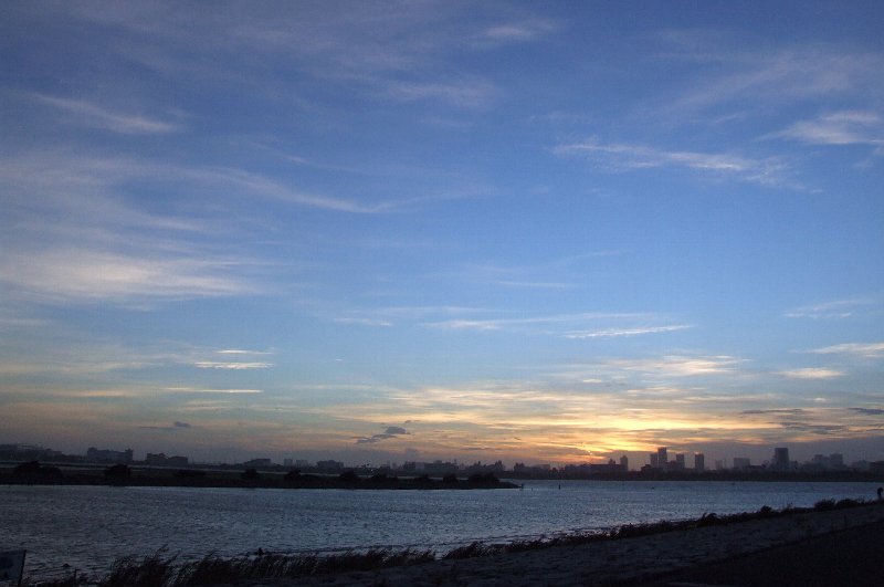 a0122932_0265.jpg