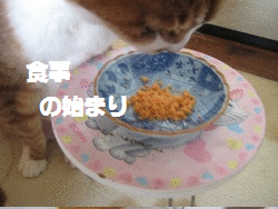 e0255638_1249036.gif