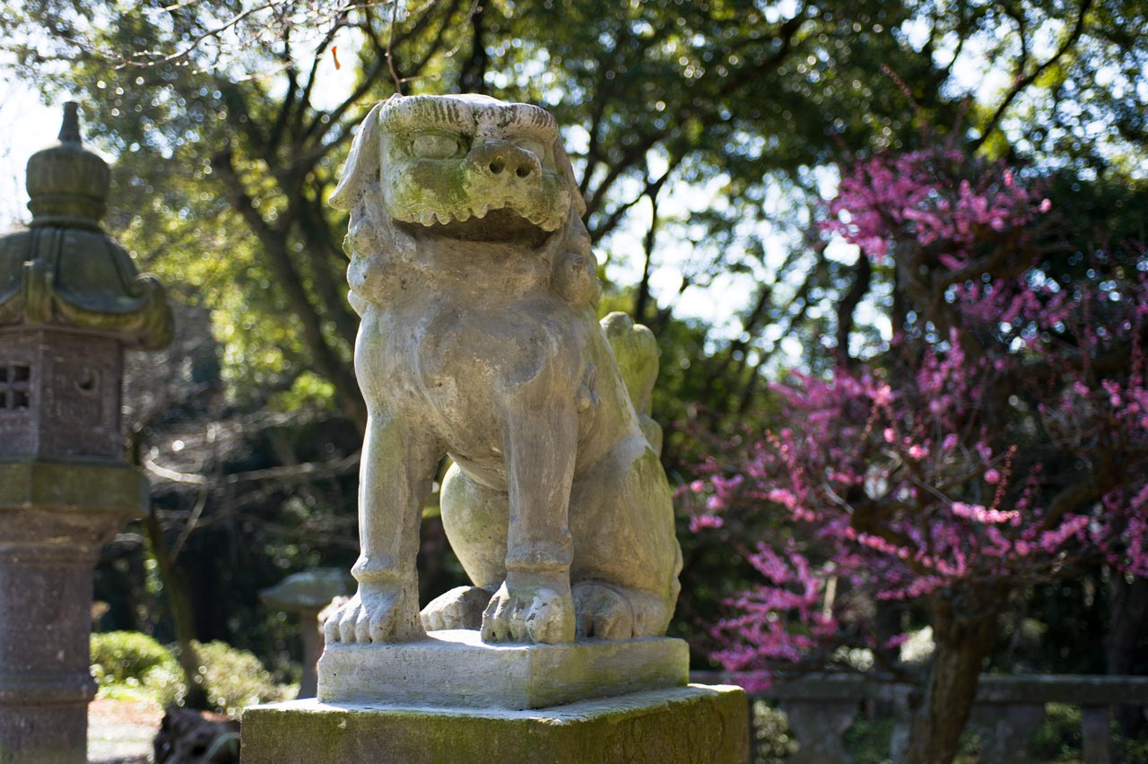 ◆天満宮・豊姫宮　福岡県久留米市_b0023047_494549.jpg