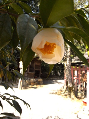 a0191852_14573755.jpg