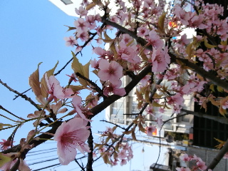 日々雑感_e0249060_1146866.jpg