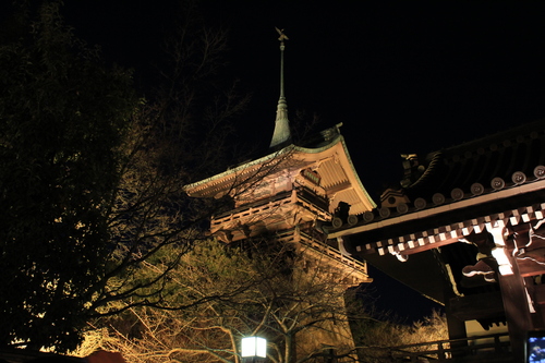 京都 2013年花灯路_d0202264_65504.jpg