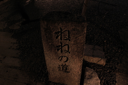 京都 2013年花灯路_d0202264_75777.jpg