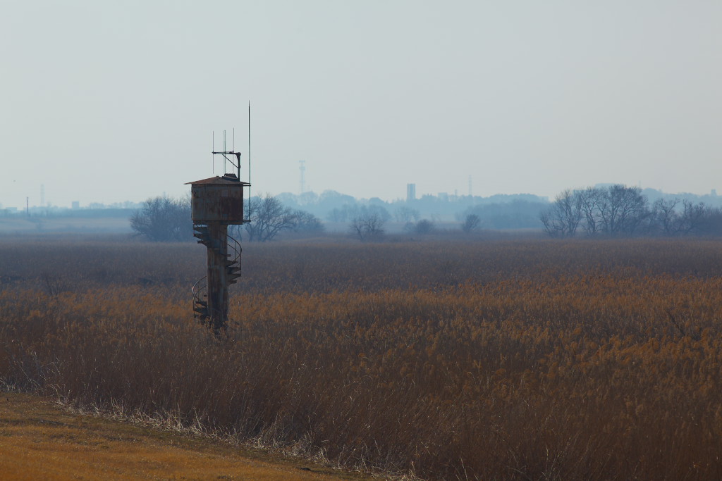 f0171065_22172774.jpg