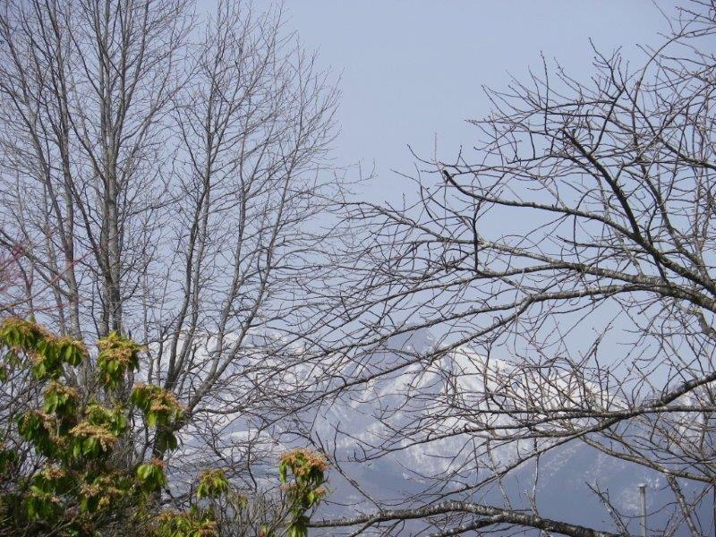 とっても綺麗な雪山・・・蒜山高原にて（＾－＾）_f0061067_21371734.jpg