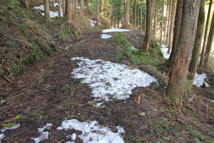 3月17日　初雪山_f0223068_1227593.jpg