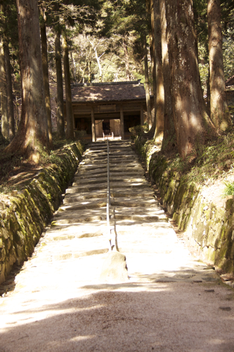 久しぶりの金勝寺_b0286869_8403594.jpg