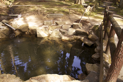 久しぶりの金勝寺_b0286869_8431422.jpg