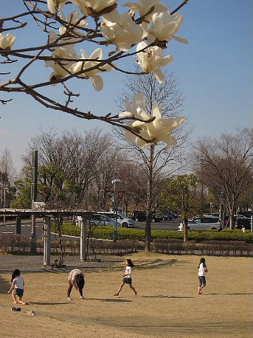管理栄養士が、やっちまった!!!_b0141773_0185184.jpg