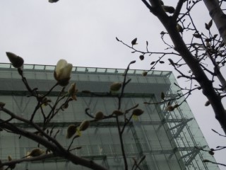 f0200477_21162383.jpg