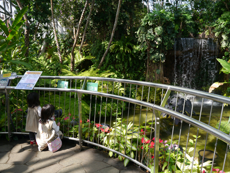 2013年　3月　17日（日）　夢の島　熱帯植物館_c0004078_16525365.jpg